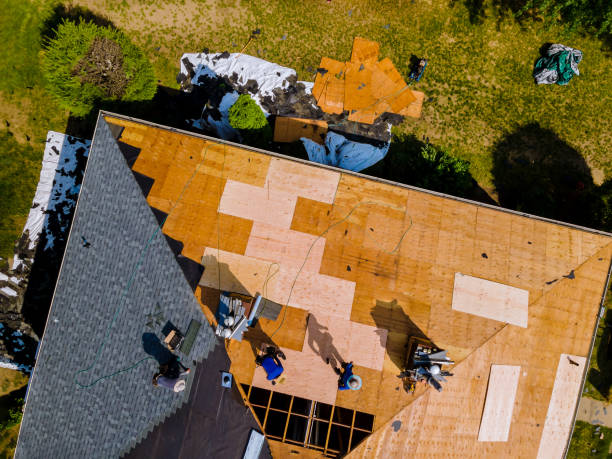 Best Storm Damage Roof Repair  in Sullivan Gardens, TN